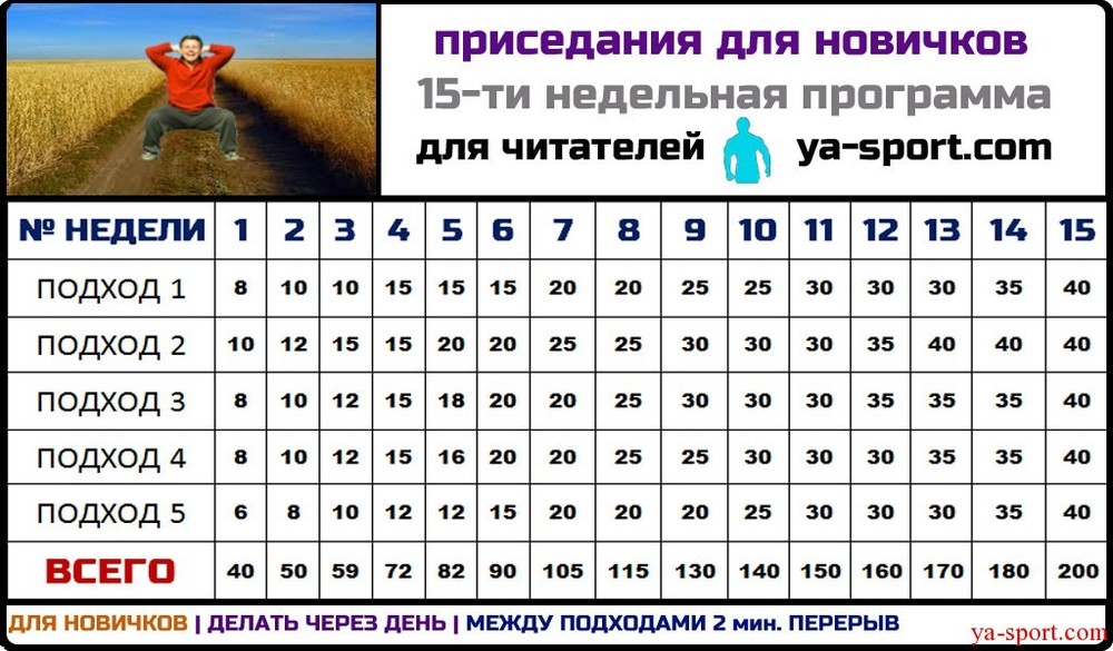 Программа отжиманий в домашних условиях для новичков