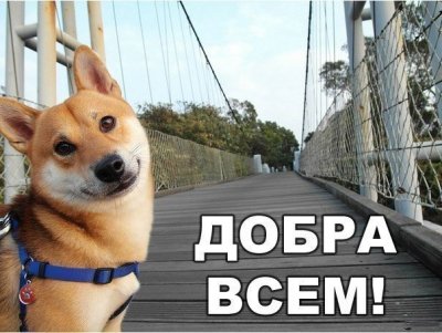 14030912571668.jpg