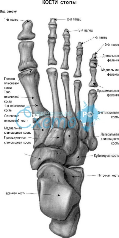 Когда появиться новые препараты для лечения гепатита с