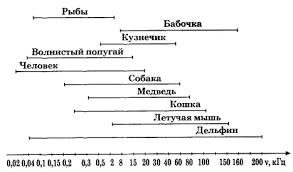 Кровь на сахар берут из вены или из пальца