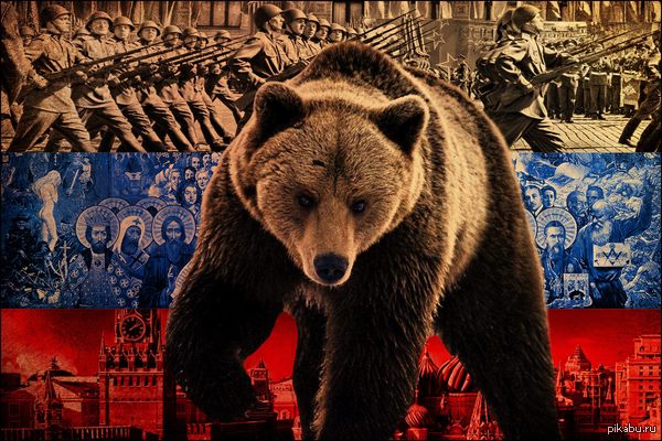 обои на рабочий стол медведь на фоне российского флага на телефон №217843 обои на рабочий стол медведь на фоне российского флага № 217842 скачать
