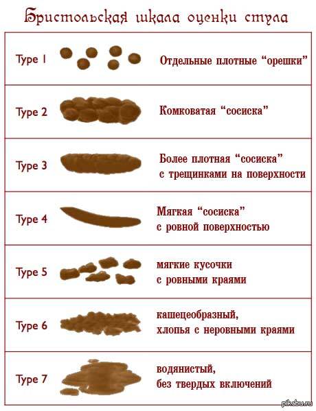 Отвечаем на вопрос, почему у взрослого кал бывает Отвечаем на вопрос, почему у взрослого кал бывает