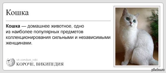 Статус про независимую женщин Статус про независимую женщин