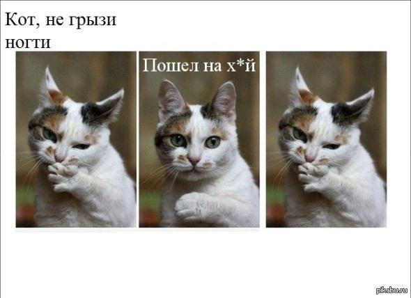 Как сделать паука из бросового материала Как сделать паука из бросового материала