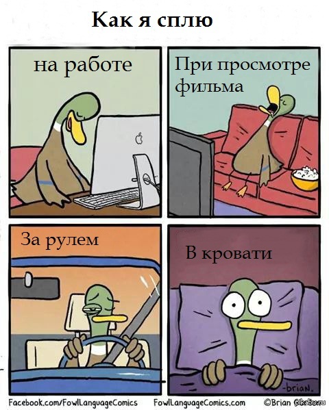 Как уснуть ночью если спала днем Как уснуть ночью если спала днем