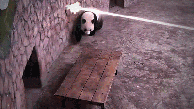 1418413515_1089386977.gif