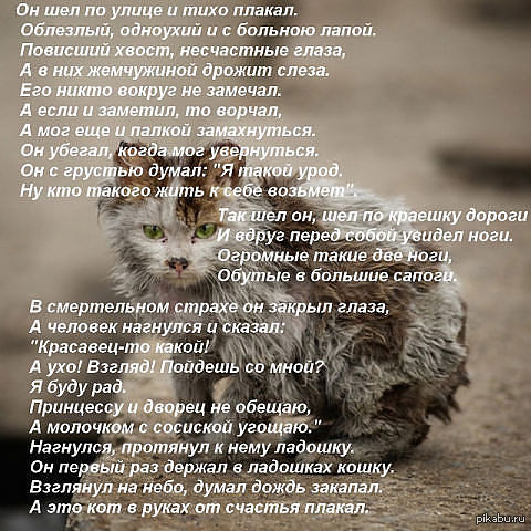 Стих про грустного котёнка Стих про грустного котёнка