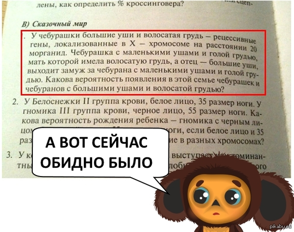 1421403162_40510621.jpg