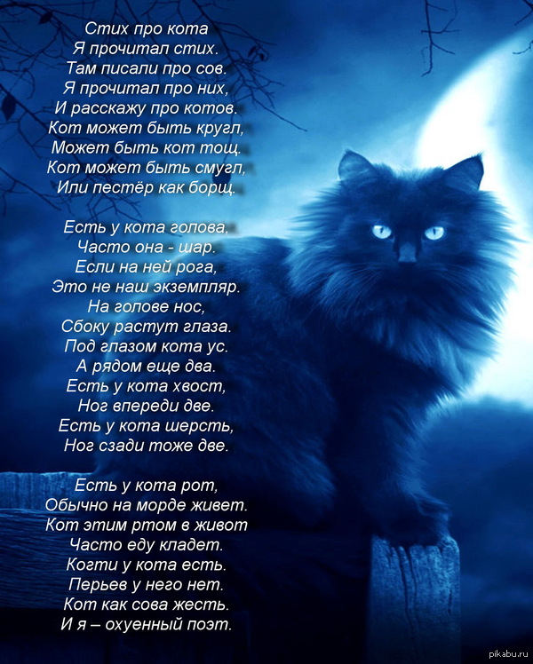 Стих хорошо быть кошкой Стих хорошо быть кошкой