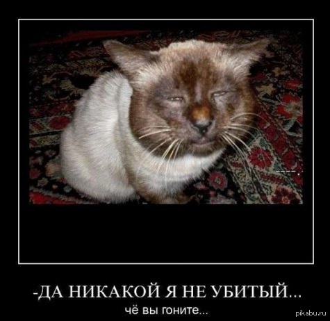 1424301315_2075338937.jpeg