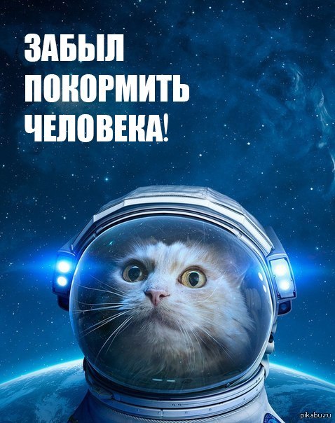 1425616182_1428865136.jpeg