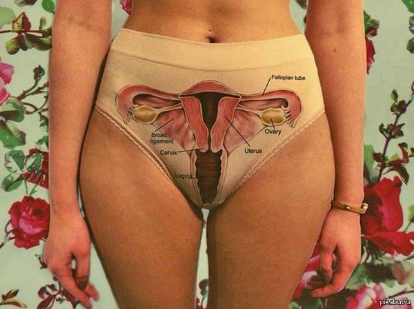 Eleanor Beth Haswell Anatomically Correct Vagina Underwear and Nipple Bra