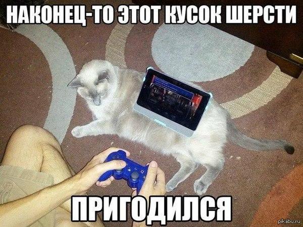 1426092162_2121030004.jpg