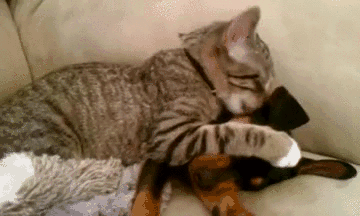 1427313651_1854796438.gif