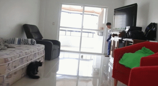 1428908024_1377642452.gif