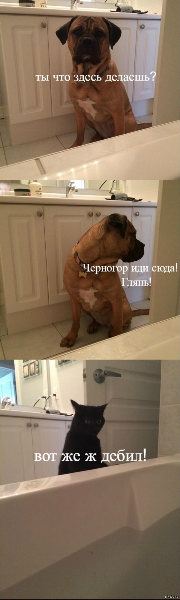 1432463990_28746543.jpg