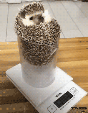 1435349843_1642430267.gif