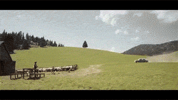 1436901703_1117628683.gif