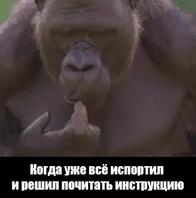 1437651531_786825997.jpg