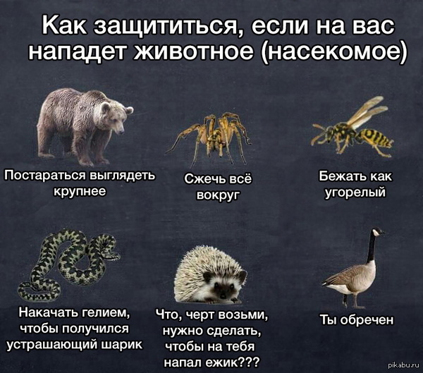 1438550174_1701194706.jpg