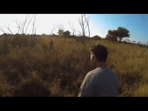 1438917652_1405315988.gif