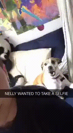 1438944530_1323265954.gif