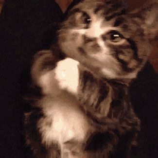 1439909609_91152079.gif