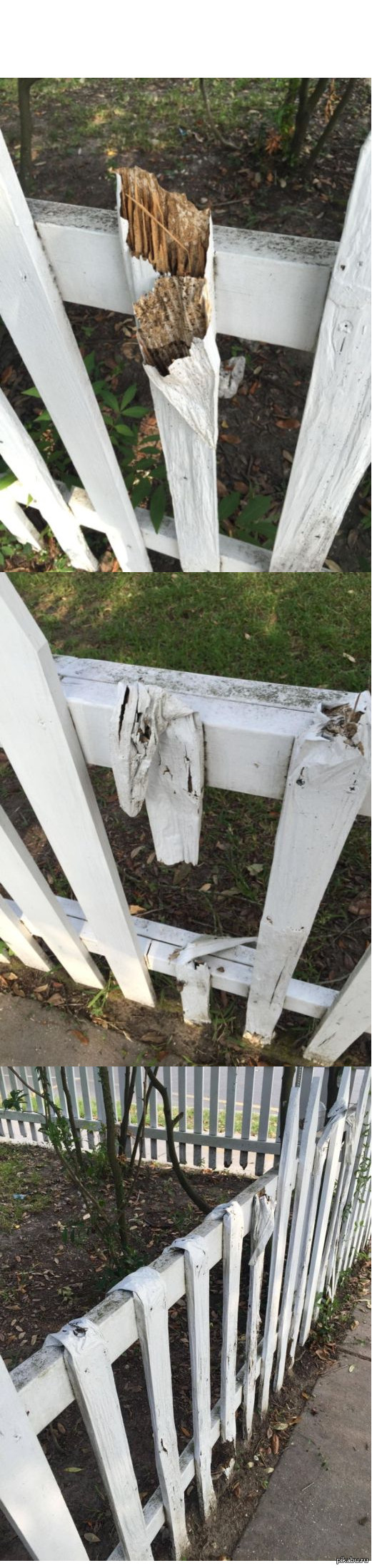 Термиты съели забор, оставив лишь слой не съедобной для них краски. 