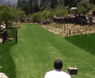 1440326147_1901320086.gif