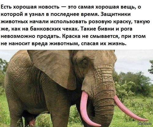 http://cs4.pikabu.ru/post_img/2015/08/25/7/1440503874_1820351257.jpg