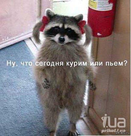 http://cs4.pikabu.ru/post_img/2015/08/28/5/1440748004_1427138199.jpg