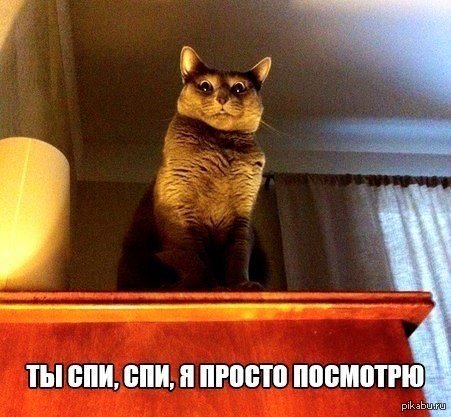 1444504363_2070802880.jpeg