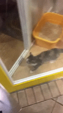 1447226688_669238325.gif