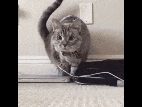 1448389098_1244938320.gif