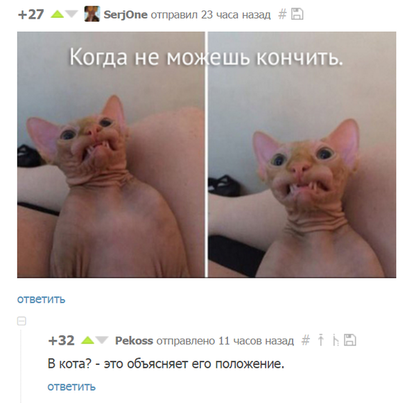 Показать список Фото что за пиздец