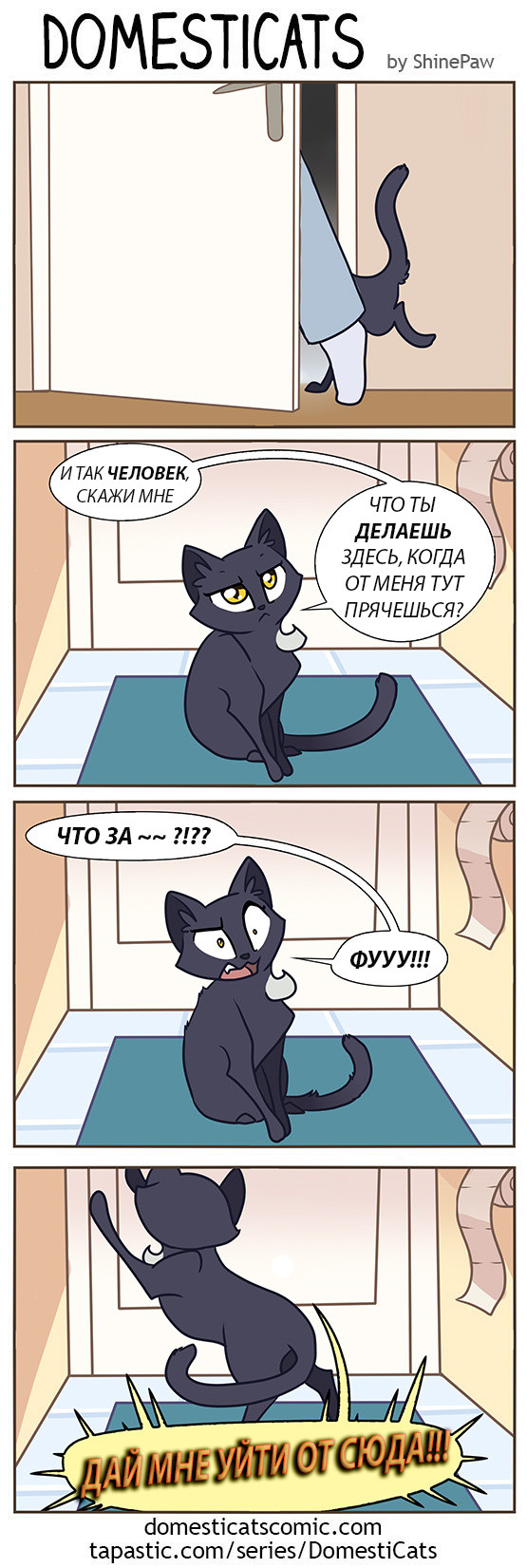 1465464374142690518.jpg