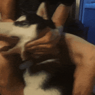 1466093540171716065.gif