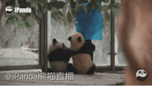 146918291517909354.gif