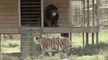 1470647317147025613.gif