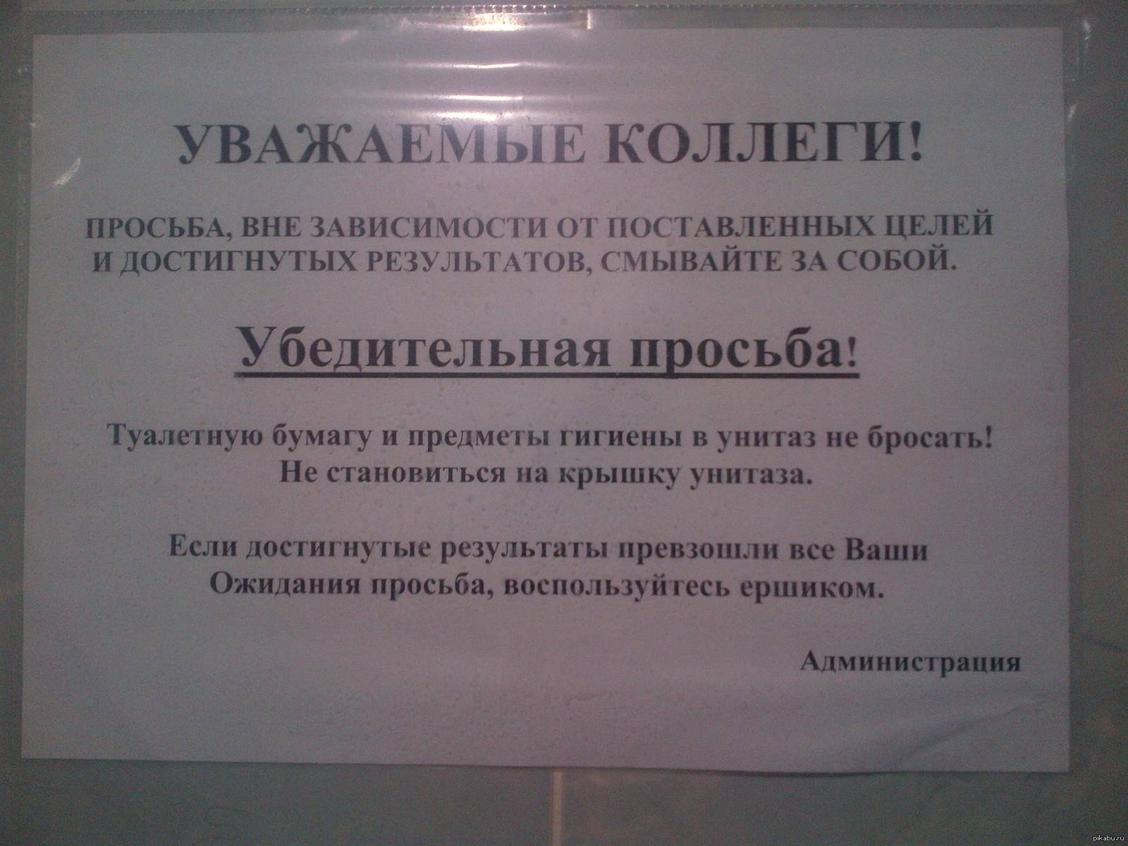 Куни Объявление В Домодедово