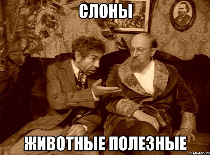 Завдяки опадам вода з'явилася у двох із чотирьох річок під окупованим Севастополем - Цензор.НЕТ 7300