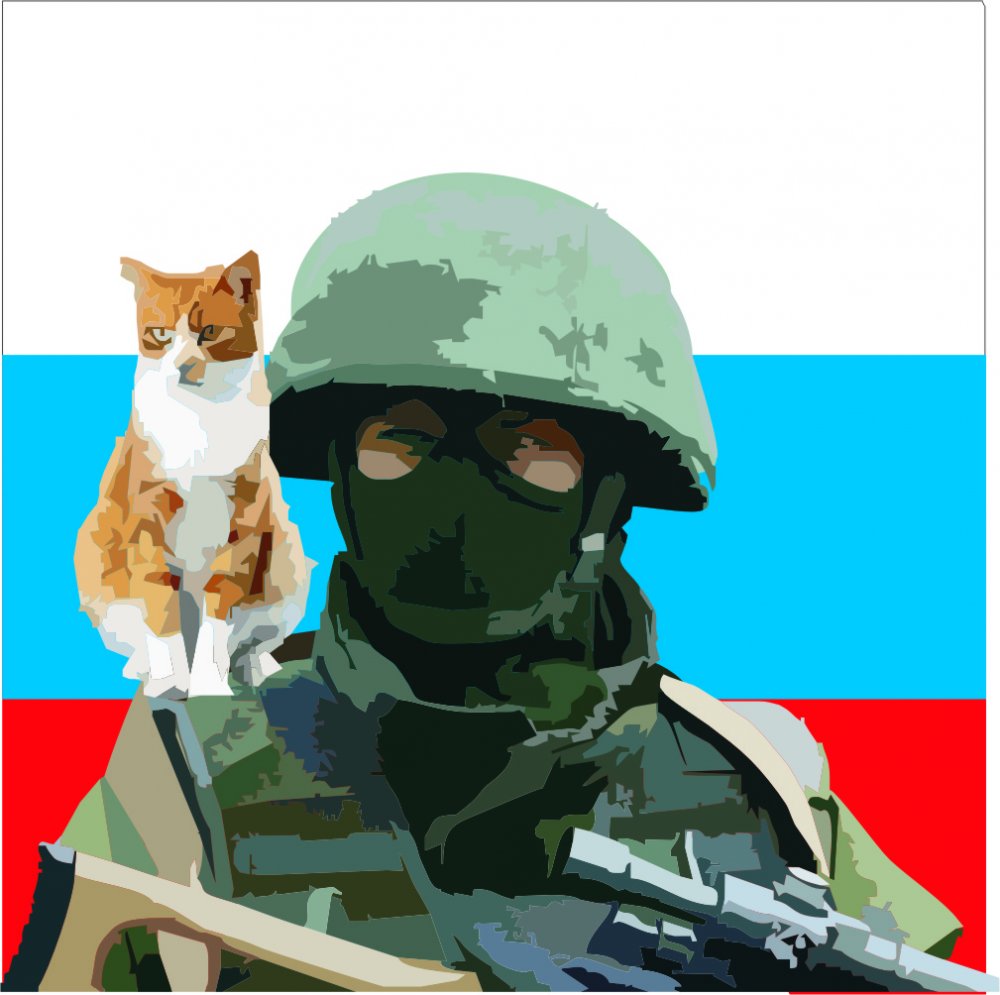 русский флаг на аватарку стим фото 50