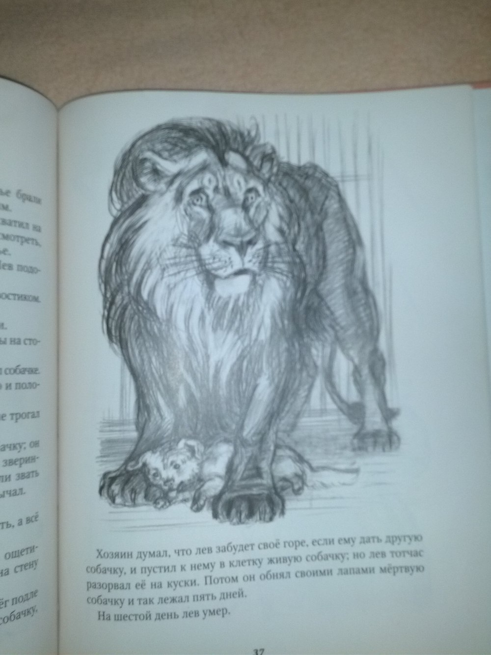 Иллюстрация к произведению Лев и собачка для 3 класса
