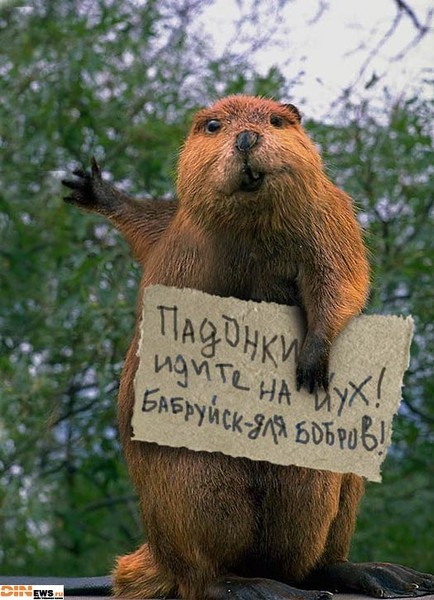 Новый Год Бобров