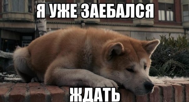 хатико ждал картинка онлайн хатико ждал картинка