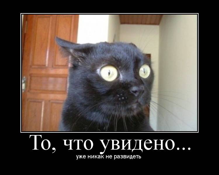 привет мой хороший картинки онлайн