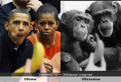 https://cs4.pikabu.ru/images/big_size_comm/2015-03_2/1425680942129.jpg