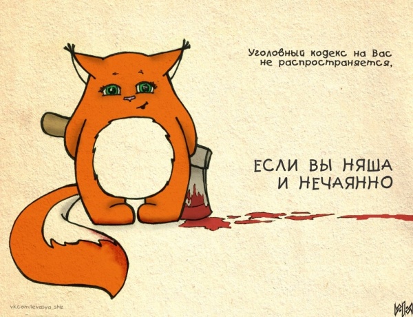 14316843083698.jpg