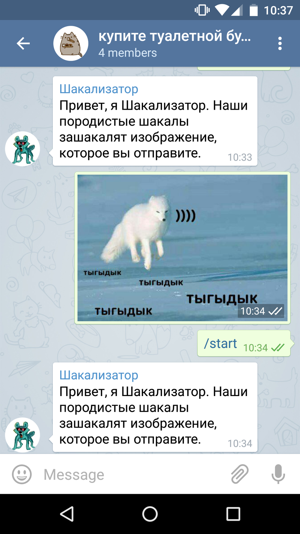 Шакализатор изображение