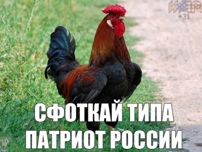 мем шашлык в дождь. Смотреть фото мем шашлык в дождь. Смотреть картинку мем шашлык в дождь. Картинка про мем шашлык в дождь. Фото мем шашлык в дождь